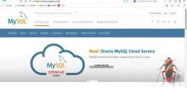 MySQL下载安装详情图文教程