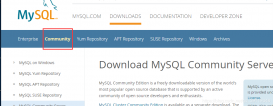windows下mysql 8.0.15 详细安装使用教程