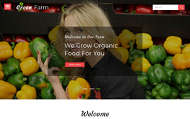 HTML绿色水果生鲜公司网站源码