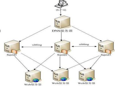 DNS服务器是什么？