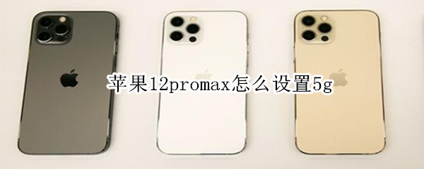 苹果12promax怎么开5g iPhone12promax 5g开关在哪里