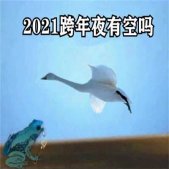 2021抖音跨年夜有空吗天鹅表情包 2021抖音超火的跨年癞蛤蟆表情