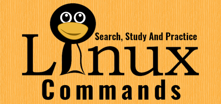 光速！搜索、学习和实践 Linux 命令！！