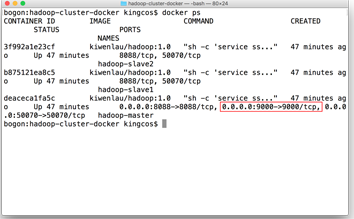 详解从 0 开始使用 Docker 快速搭建 Hadoop 集群环境