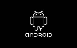 Android中的全局变量与局部变量使用小结
