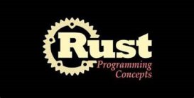 Rust 社区发起构建 Async Rust 的共享愿景文档
