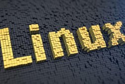 Linus 谈 Linux 中 Rust 支持：保持观望，驱动程序是首选