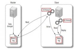 基于Docker结合Canal实现MySQL实时增量数据传输功能