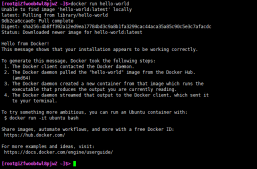 .NETCore Docker实现容器化与私有镜像仓库管理