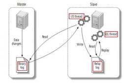 MySQL双主（主主）架构配置方案