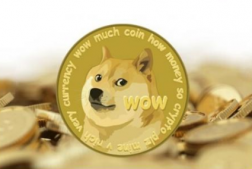 怎么用人民币买狗狗币 一个狗狗币值多少人民币
