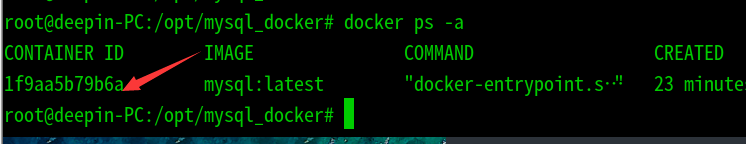 Deepin使用docker安装mysql数据库过程详解
