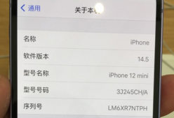 苹果开始为 iPhone 12 等新品采用 10 位随机序列号