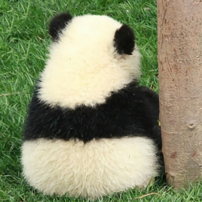 2021最新版微信很可爱的熊猫头像 很有个性的微信头像大全