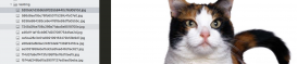 TensorFlow卷积神经网络之使用训练好的模型识别猫狗图片