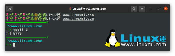 如何在后台运行 Linux 命令