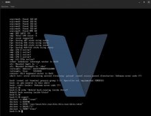V 语言编写的操作系统：Vinix