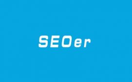 探讨Seoer的未来职业选择方向