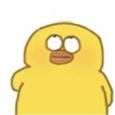 2021最新版的热门小黄鸭可爱的表情包 超级可爱也很有意思的小黄鸭表情
