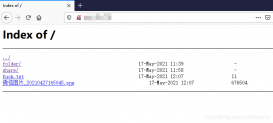 Ubuntu使用nginx搭建webdav文件服务器的详细过程