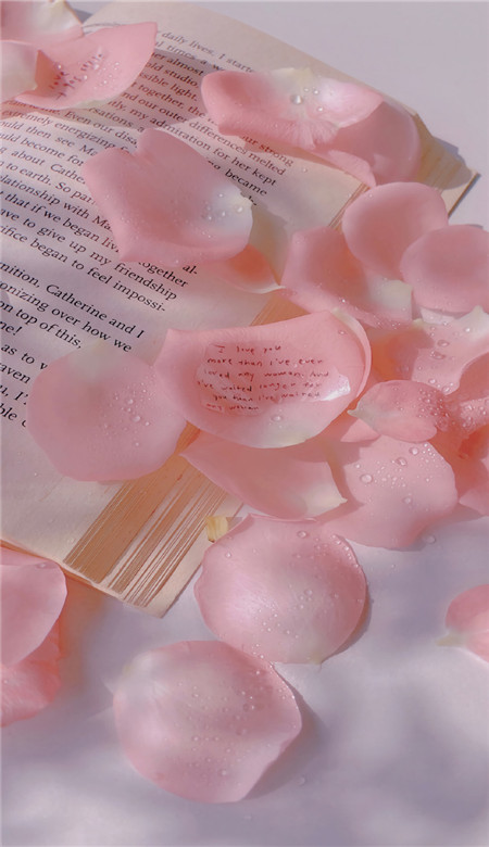粉色系唯美很浪漫的无水印全屏壁纸 汹涌的爱意总要有个交代