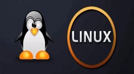 Linux设备树的传递以及Kernel中对设备树的解析