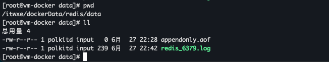 Docker搭建Redis5.0并挂载数据