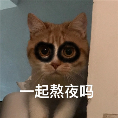 2021超级火很热门的猫咪聊天表情 有什么八卦让我听听微信表情