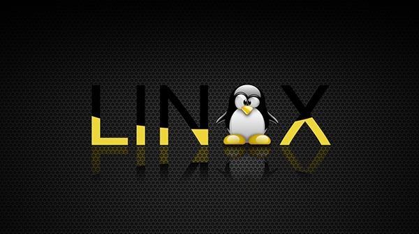 如何在 Linux 终端中删除文件和文件夹
