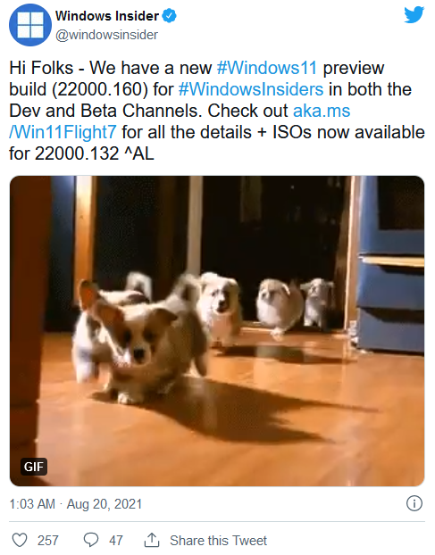 苦等多时：首个Windows 11 ISO镜像发布！