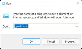 怎么在Windows11上禁用文件资源管理器搜索历史记录？