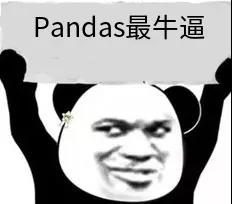 这20个Pandas函数，堪称“数据清洗”杀手！