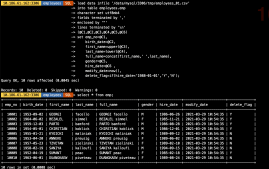 MySQL Shell import_table数据导入的实现