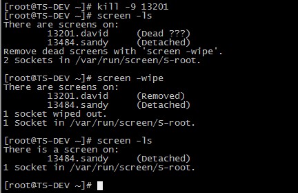 linux中 关于screen 的命令详解
