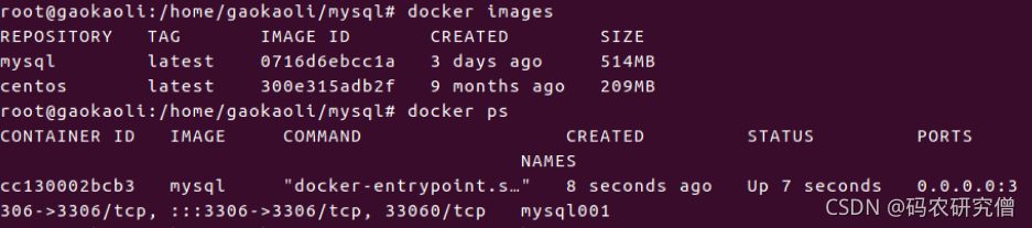 Docker启动mysql配置实现过程