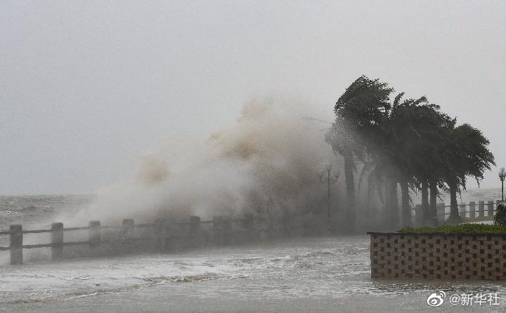 直播:台风圆规登陆海南琼海 圆规是近5年登陆海南最强台风