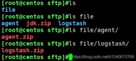 python实现自动下载sftp文件