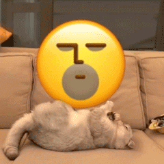 最新的超级有魔性的gif聊天表情合集 小猫咪翻滚emoji的gif可爱表情
