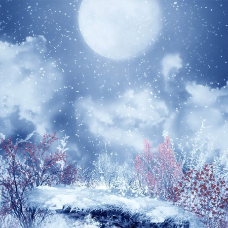 超级唯美的又很好看的下雪背景图 月色和雪色之间你是第三种绝色