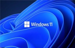 不想意外更新到Windows 11？活用注册表可保持在Windows10 21H1