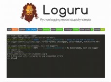 Python使用loguru优雅的输出日志