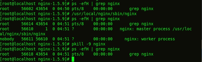 linux下安装nginx（图文教程）
