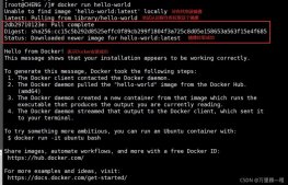 Docker run流程及镜像的基本命令详解
