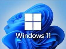最新数据表明Windows 11市场份额已接近10%