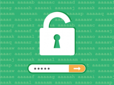 BruteLoops：协议无关的在线密码安全检测API