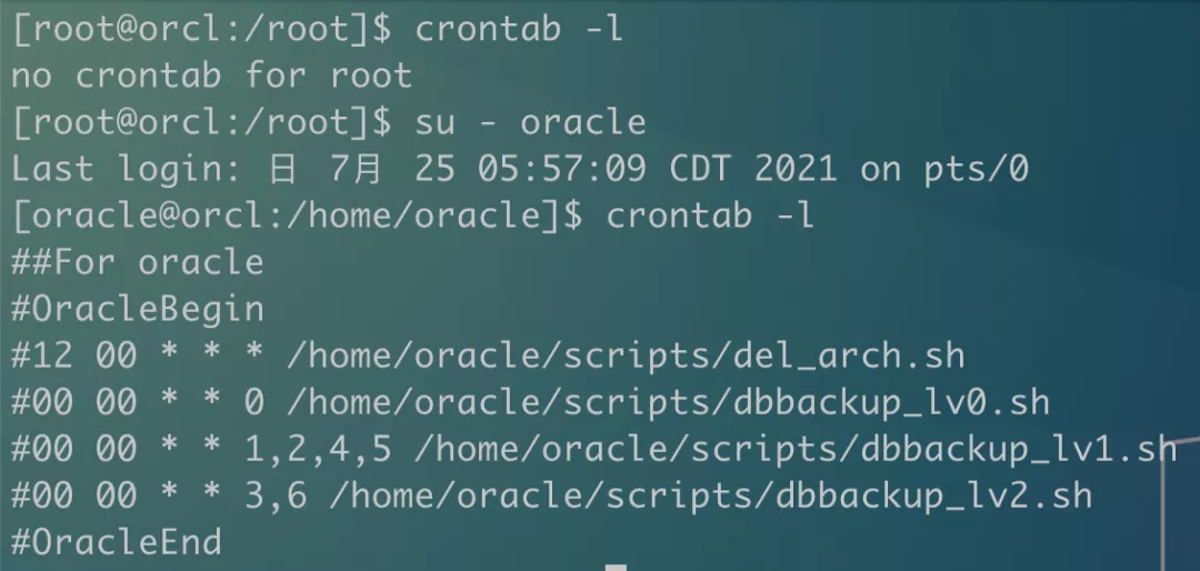 Oracle 数据库巡检命令手册