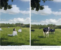 韩牛奶广告将女性描绘成奶牛惹众怒 具体怎么回事?