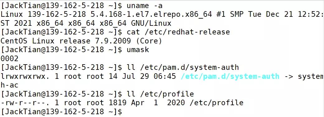 在线运行 Linux，强的离谱！