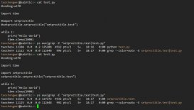 Python如何获取pid和进程名字
