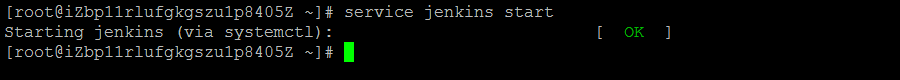 在linux服务器上安装Jenkins